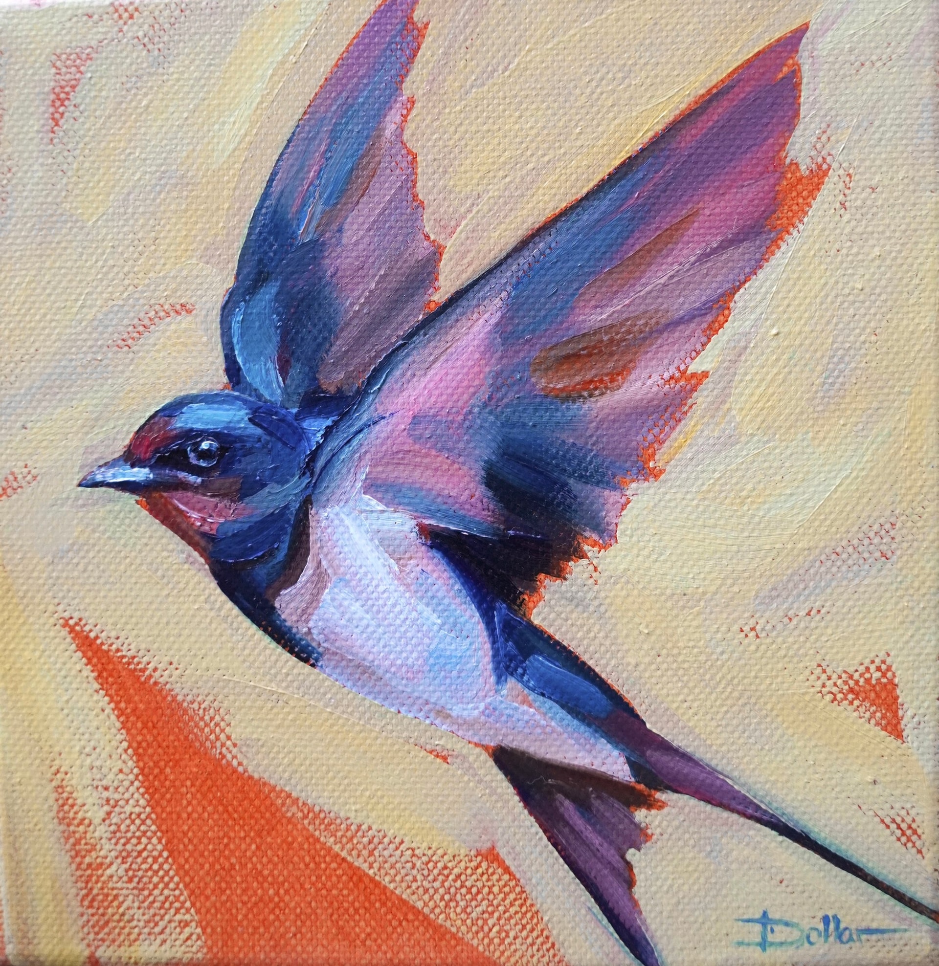 Barn Swallow