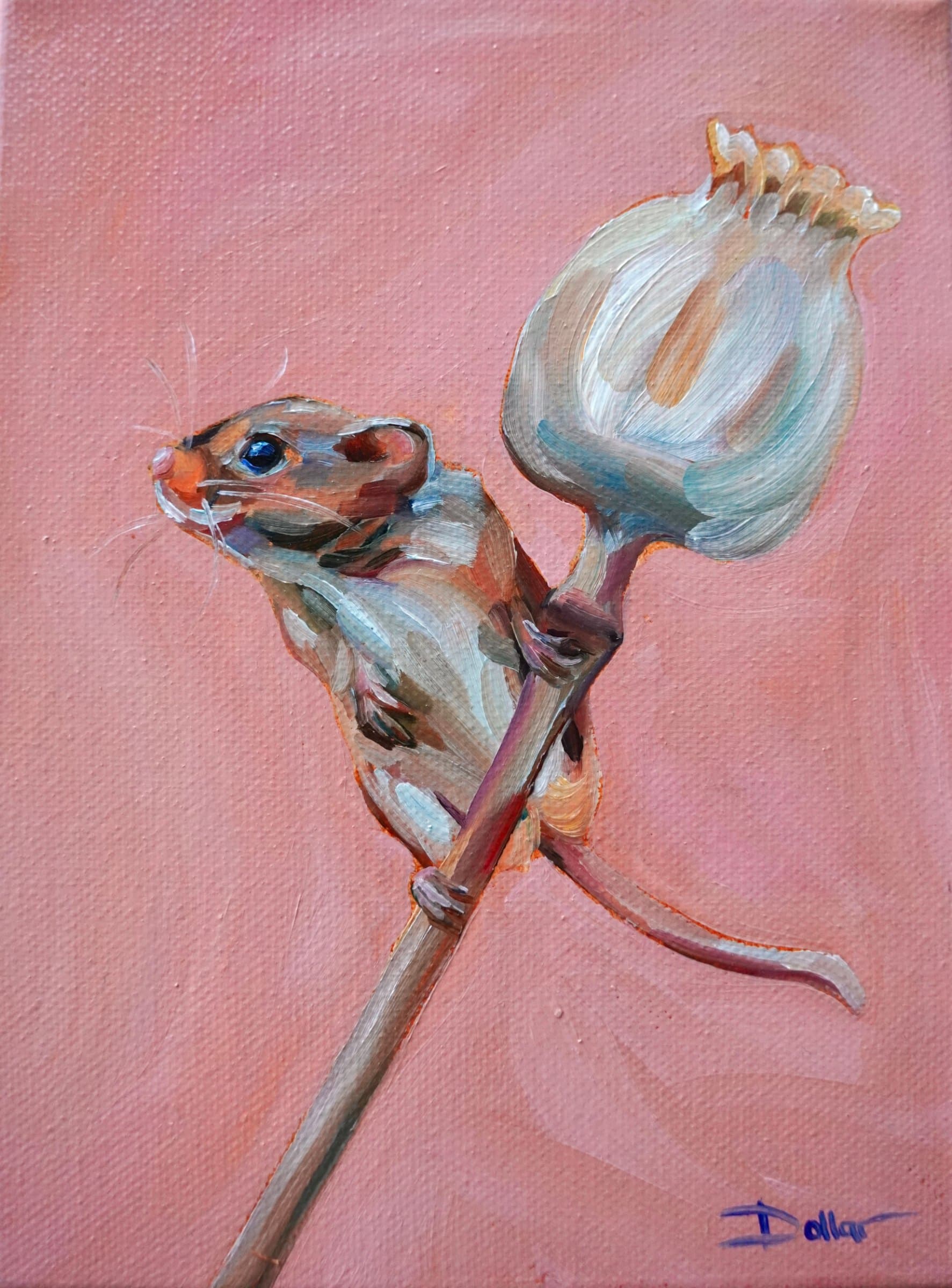 Harvest Mouse