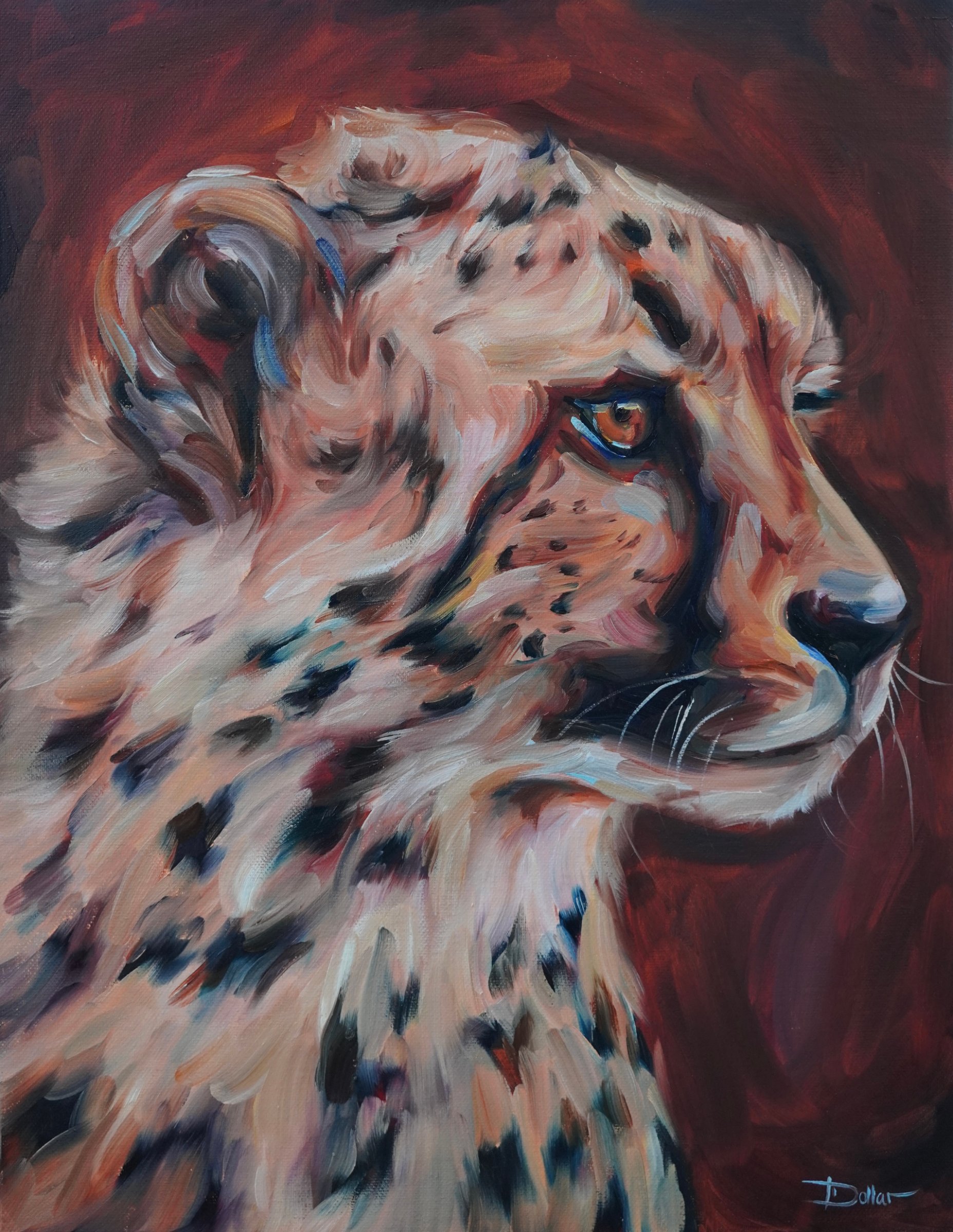 Cheetah Portrait