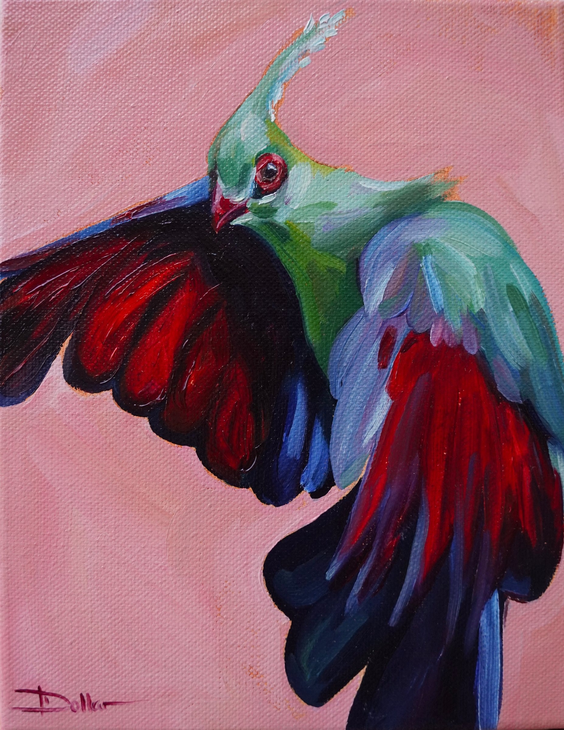 Schalow's Turaco