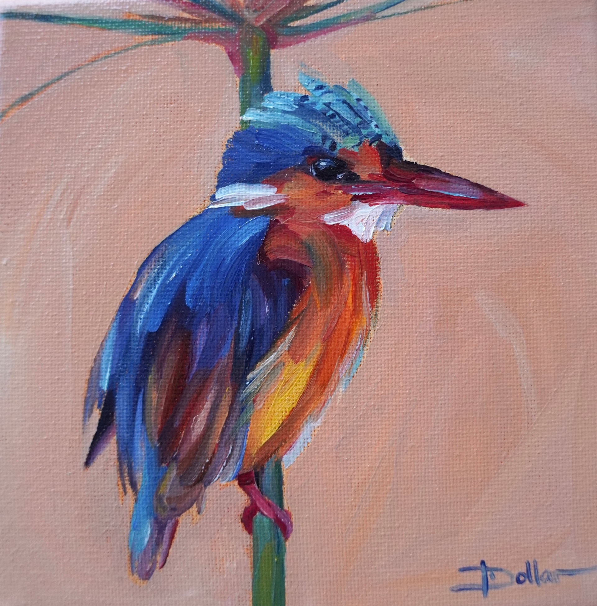 Malachite Kingfisher